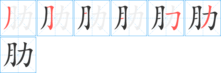 肋字笔画写法