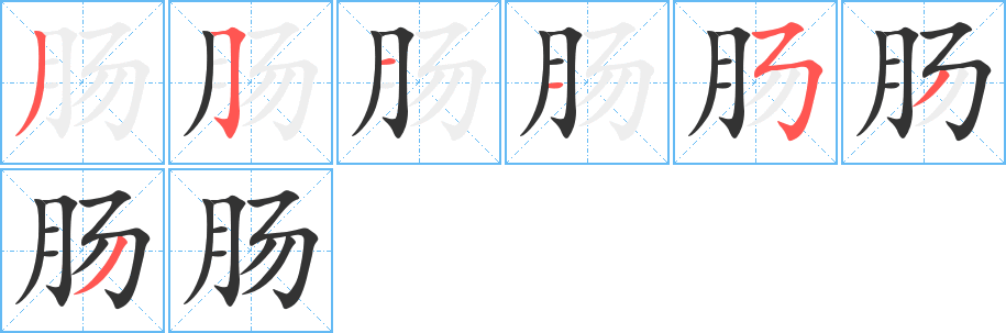 肠字笔画写法