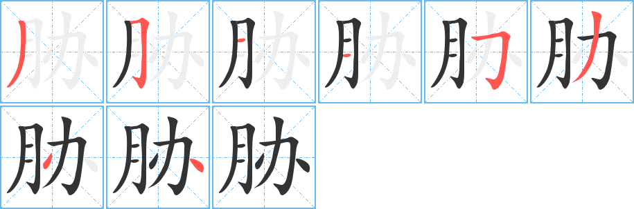 胁字笔画写法