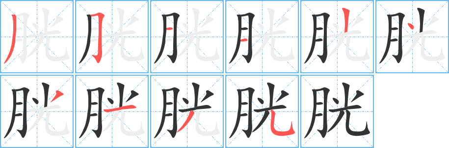 胱字笔画写法