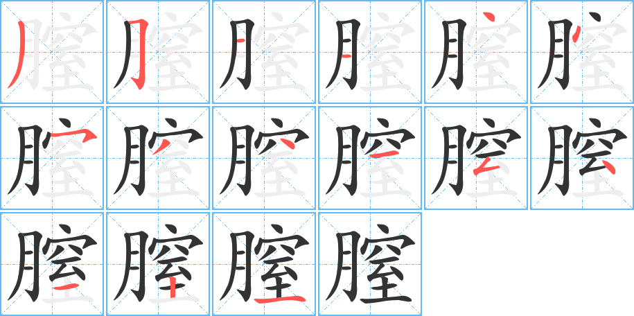 膣字笔画写法