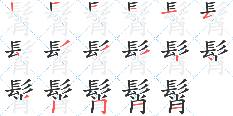 髾字笔画写法