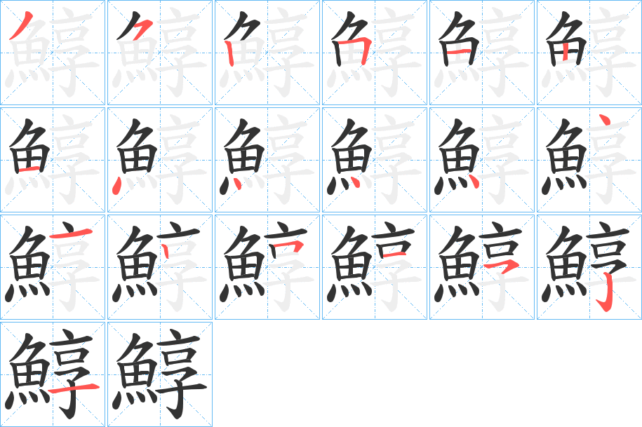 鯙字笔画写法