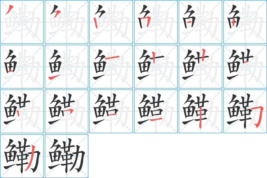 鳓字笔画写法